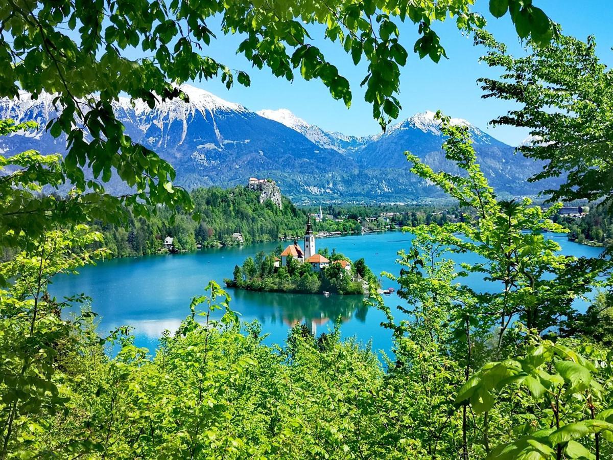 Ribno Alpine Hotel Bled Exterior photo